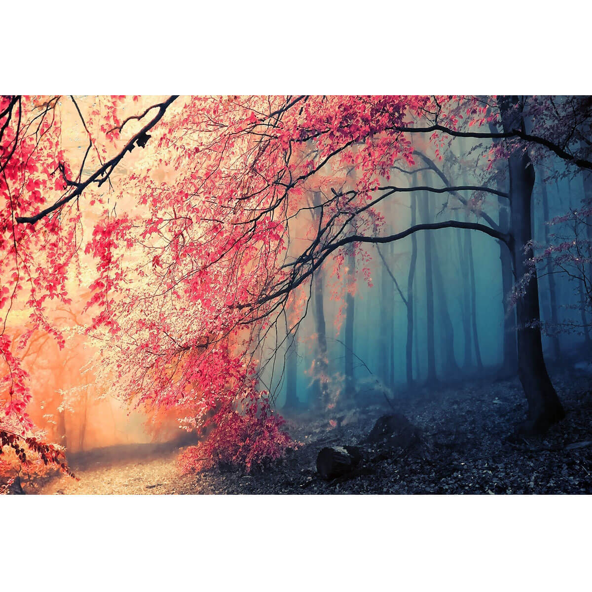 Wooden Jigsaw Puzzle 1000 Piece - A Serene Forest