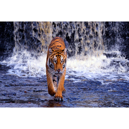 1000-Piece Premium Wooden Jigsaw Puzzle for Adults – Colorful Tiger | Artisan Crafted, Whimsical Shapes & Unique Designs, Best Relaxation Gift