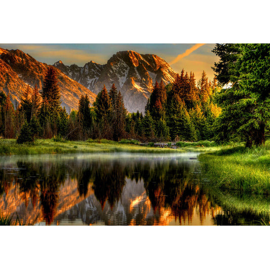 Wooden Jigsaw Puzzle 1000 Piece - Forest River Reflection