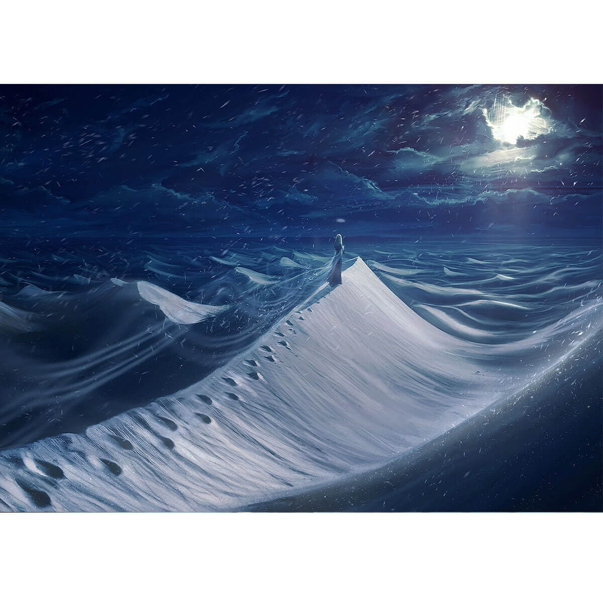 Wooden Jigsaw Puzzle 1000 Piece - Frosty Fantasy Desert