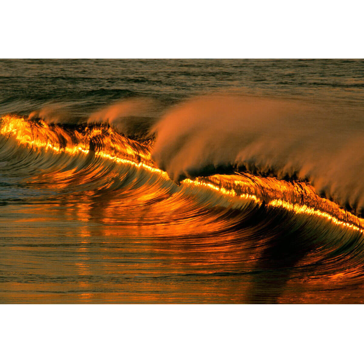 Wooden Jigsaw Puzzle 1000 Piece - Golden Ocean Wave