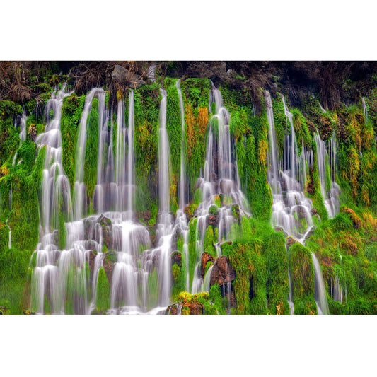 Wooden Jigsaw Puzzle 1000 Piece - Green Cascade