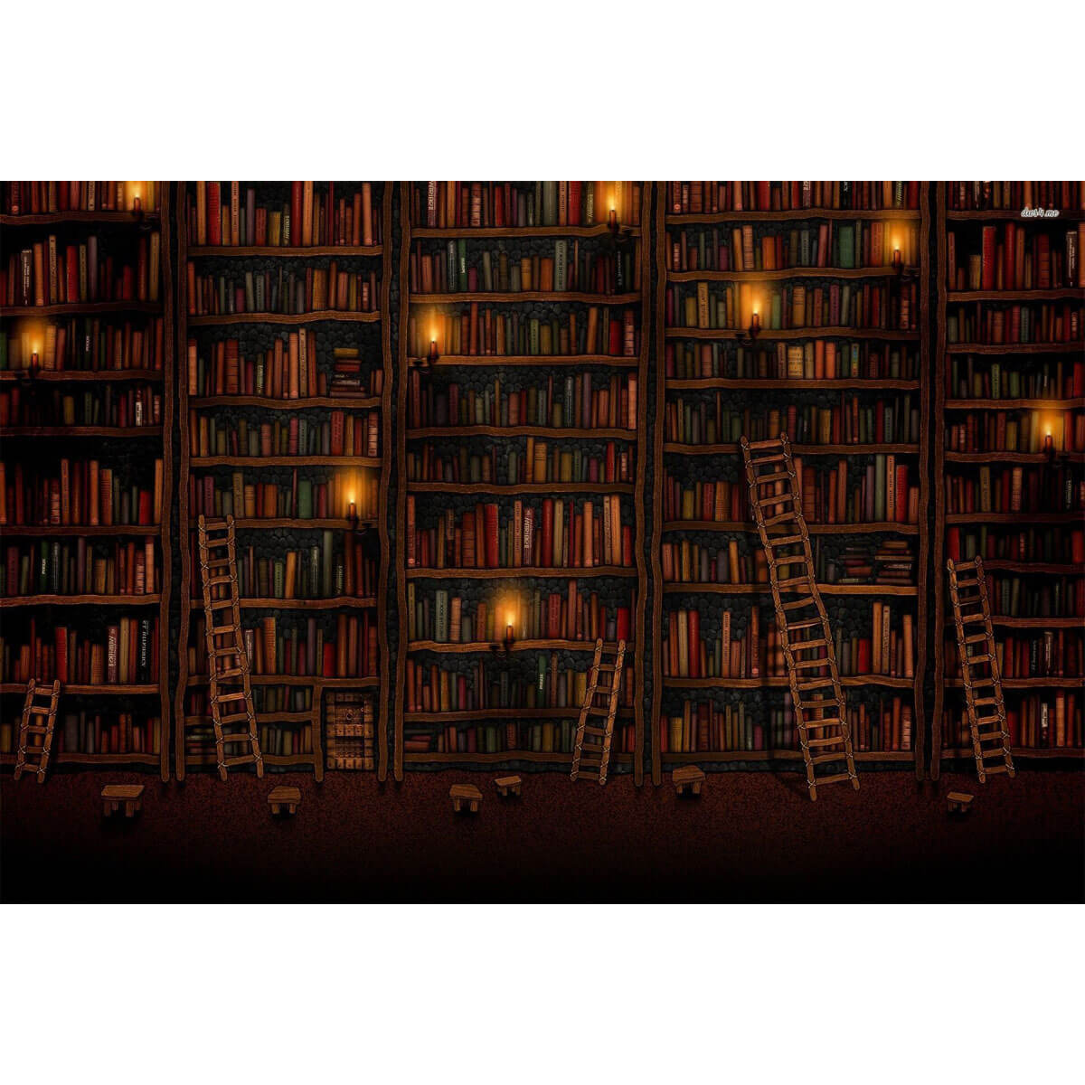 Wooden Jigsaw Puzzle 1000 Piece - Library Ladders in the Dark