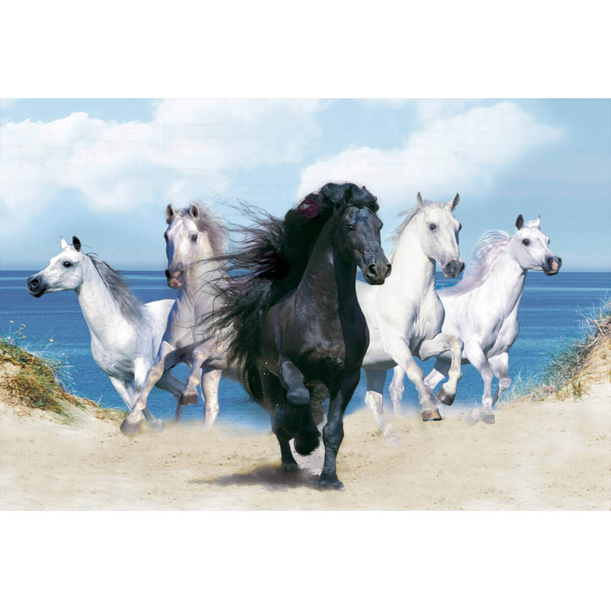 Wooden Jigsaw Puzzle 1000 Piece - Majestic Horses 2