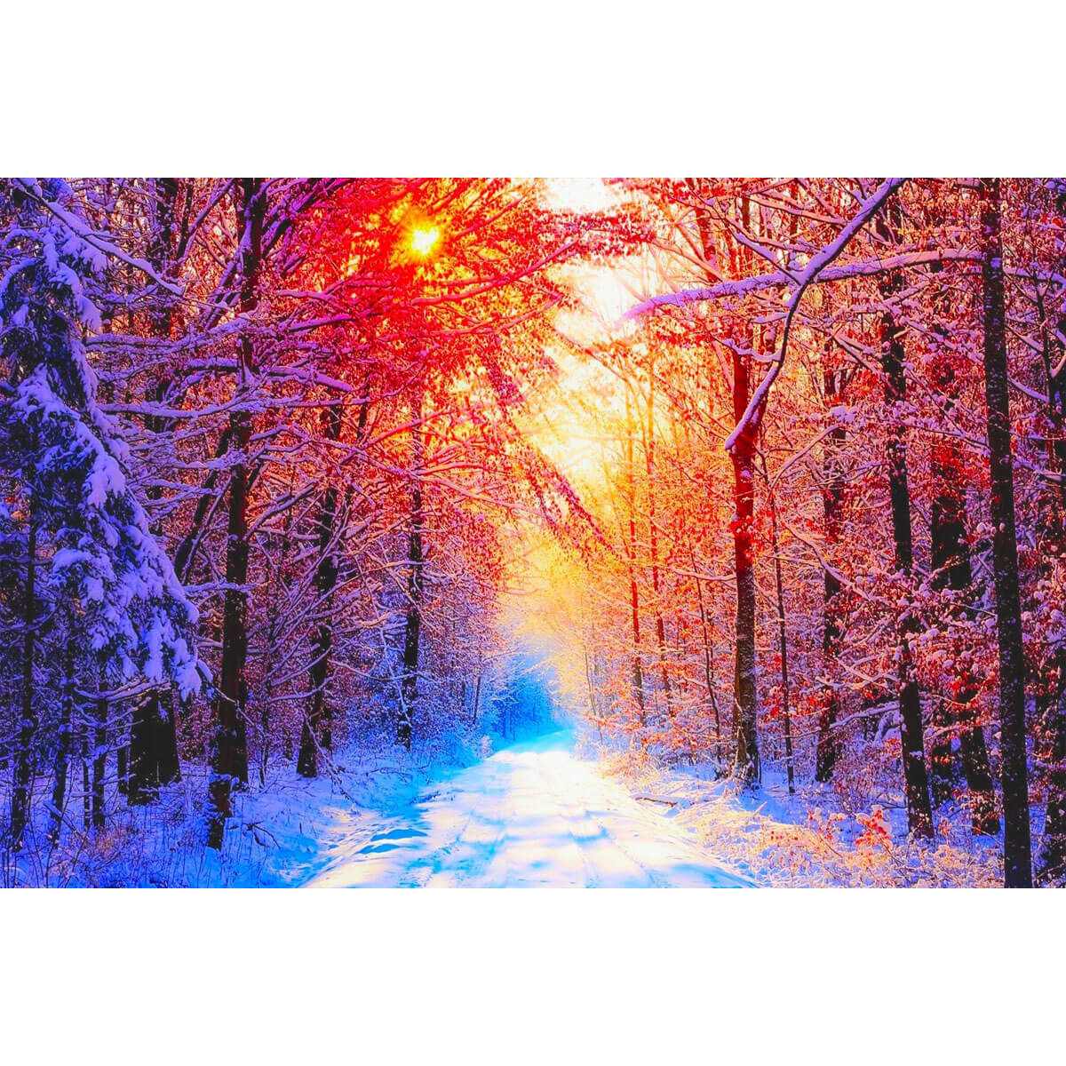 1000-Piece Premium Wooden Jigsaw Puzzle for Adults – Snowy Forest Sunset | Artisan Crafted, Whimsical Shapes & Unique Designs, Best Relaxation Gift