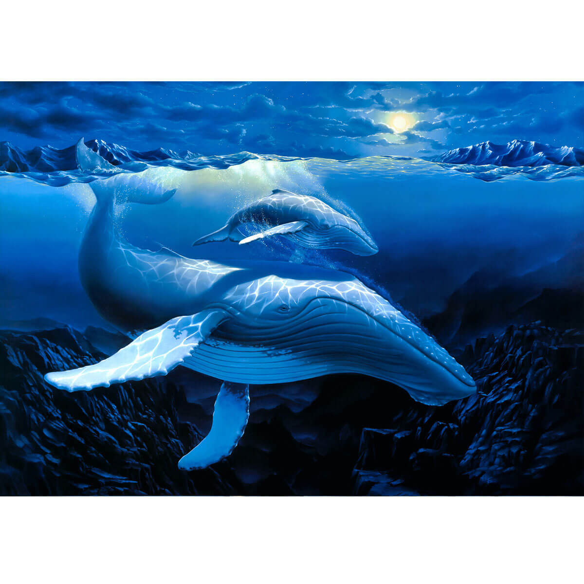 Wooden Jigsaw Puzzle 1000 Piece - Whale Mother & Baby
