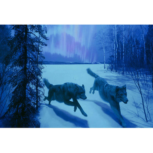 Wooden Jigsaw Puzzle 1000 Piece - Wolves Under Northern Lights